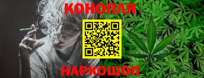 бошки Славгород