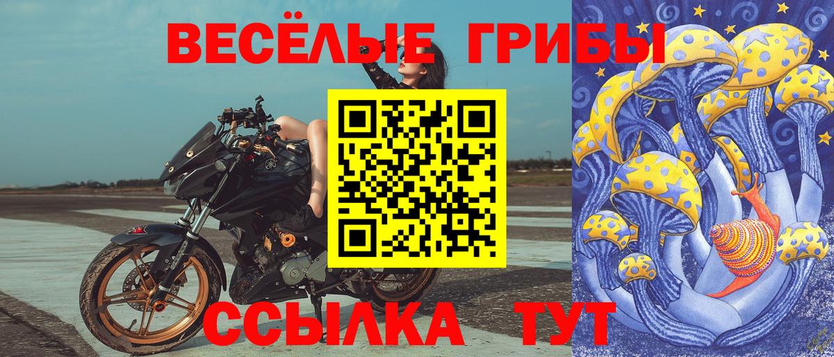 Псилоцибиновые грибы мухоморы  Вход с VPN  Петропавловск-Камчатский 