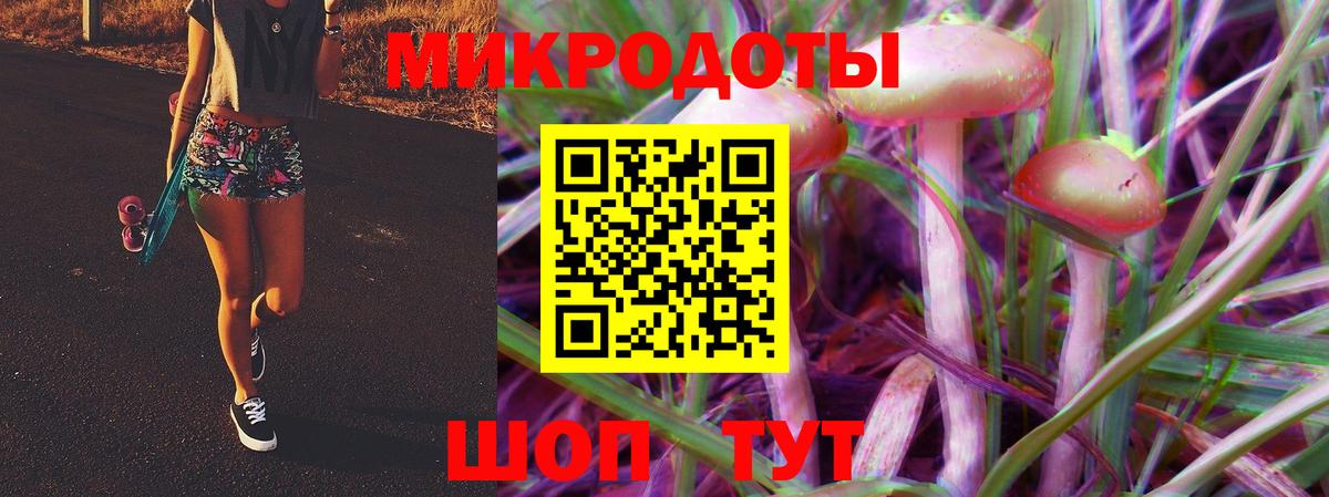 Псилоцибиновые грибы MAGIC MUSHROOMS Петропавловск-Камчатский